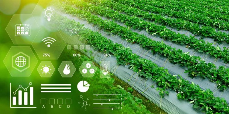 现代农业案例分析：种植业的变革与提升